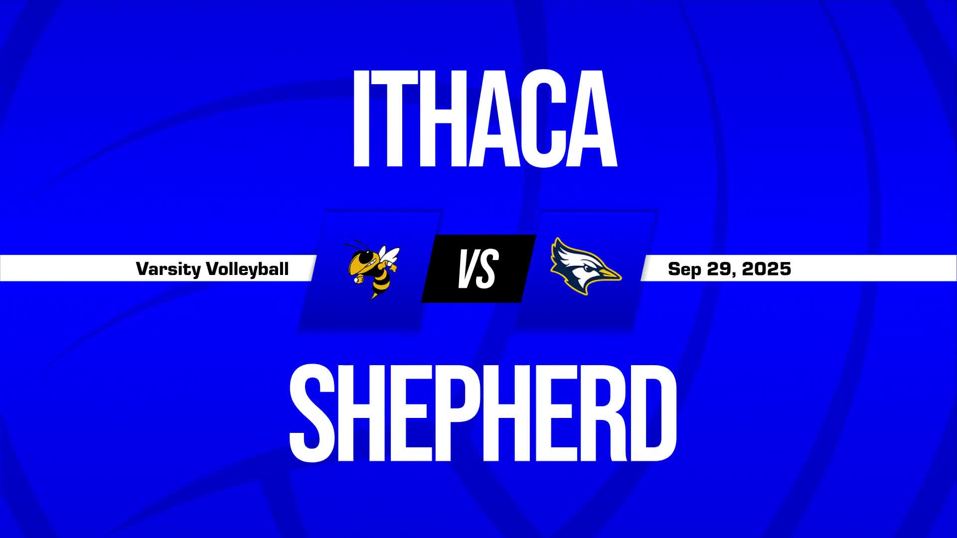 Volleyball Recap: Shepherd Comes Up Short