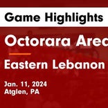 Octorara Area's loss ends three-game winning streak at home