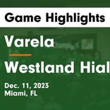 Basketball Recap: Westland Hialeah falls despite strong effort from  Frank Sosa