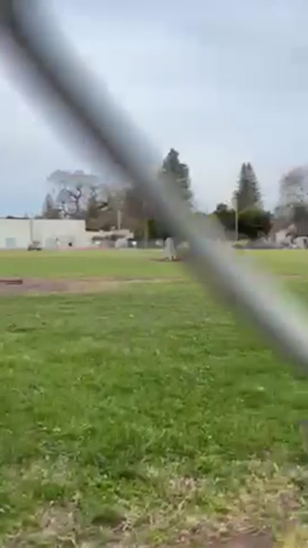 Baseball Recap: Analy Find Success