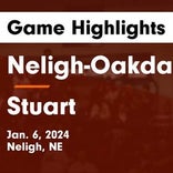 Basketball Game Recap: Neligh-Oakdale Warriors vs. O'Neill Eagles
