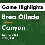 Basketball Game Recap: Brea Olinda Wildcats vs. Orange Lutheran Lancers