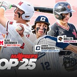 High school baseball rankings: Georgia powerhouse Parkview opens at No. 1 in Preseason MaxPreps Top 25