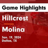 Basketball Game Preview: Hillcrest Panthers vs. South Oak Cliff Bears