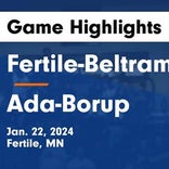 Basketball Game Preview: Fertile-Beltrami Falcons vs. Cass Lake-Bena Panthers