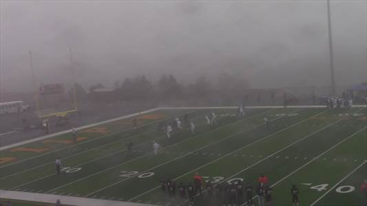 Wiley vs. Springfield