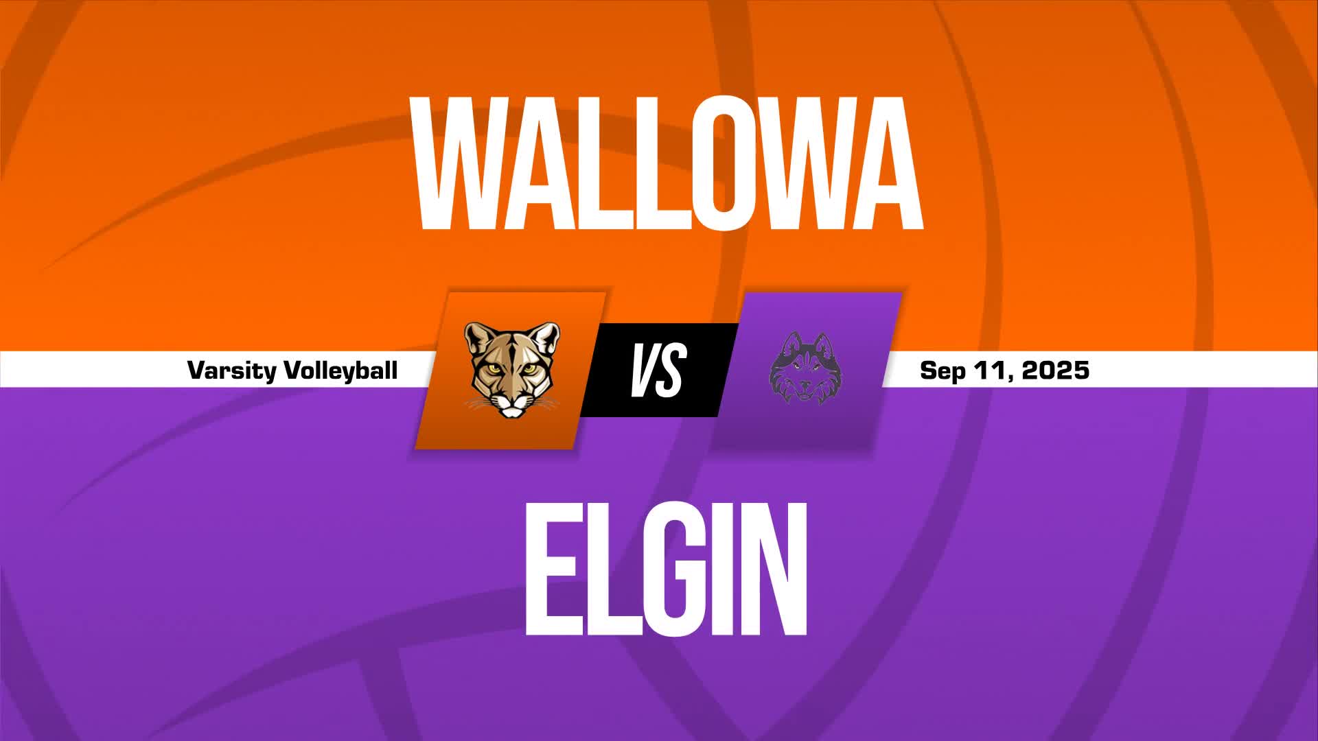 Volleyball Recap: Elgin Triumphs