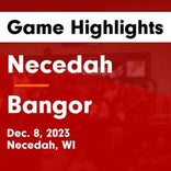 Basketball Game Recap: Necedah Cardinals vs. Bangor Cardinals