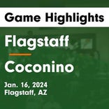 Basketball Game Recap: Coconino Panthers vs. Prescott Badgers