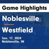 Basketball Game Preview: Noblesville Millers vs. Westfield Shamrocks