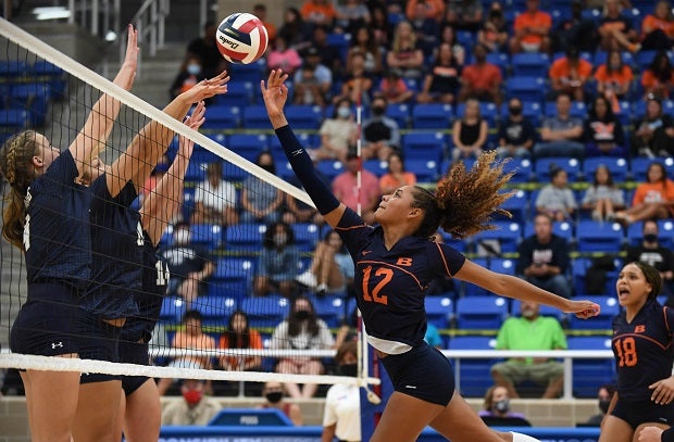 Jalyn Gibson, Brandeis