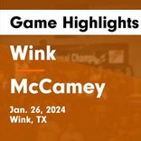Basketball Game Preview: Wink Wildcats vs. Anthony Wildcats