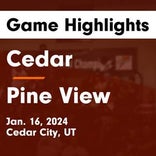 Basketball Game Preview: Cedar Reds vs. Dixie Flyers