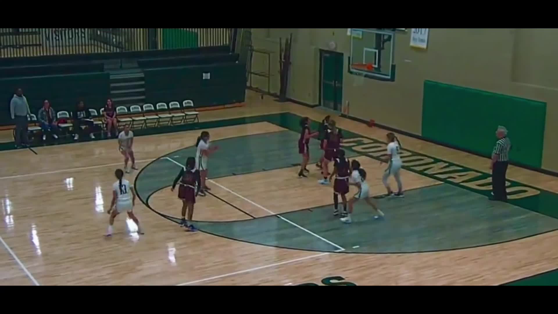 Basketball Recap: Gabby Fichter Key Part of a Team Effort in Isl