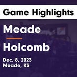 Meade vs. Holcomb