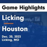 Basketball Game Preview: Houston Tigers vs. Dora Falcons