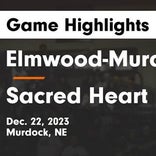 Basketball Game Preview: Elmwood-Murdock Knights vs. Logan View/Scribner-Snyder