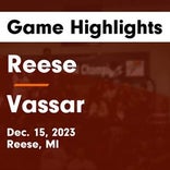 Austin Long leads Vassar to victory over Bad Axe