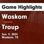 Basketball Game Recap: Waskom Wildcats vs. Elysian Fields Yellowjackets