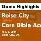 Basketball Game Recap: Boise City Wildcats vs. Springfield Longhorns