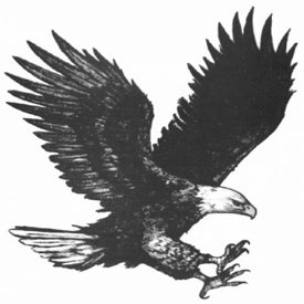 Eugene Eagles