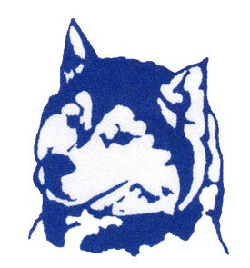 Camas County Mushers