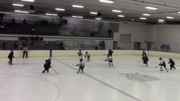 Sartell-St. Stephen girls ice hockey highlights vs. Buffalo High School
