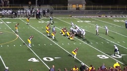 Darrius Alston's highlights Walsh Jesuit High School