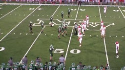 Mt. Vernon football highlights vs. Carl Junction High