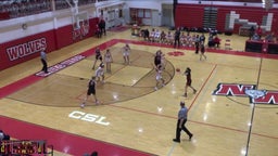 Maine South girls basketball highlights Niles West High School