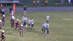 Madison County football highlights vs. Tampa Catholic