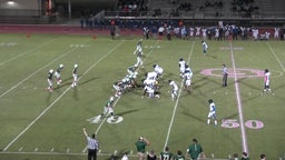 Kevin Albea , ii's highlights Briarcrest Christian High School