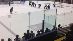 Burnsville girls ice hockey highlights vs. Eastview/Apple