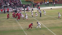 Tampa Bay Tech football highlights vs. Bloomingdale High