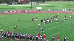 Linden football highlights vs. DeWitt High School