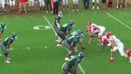 Carter football highlights Halls High School