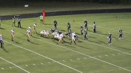 Luis Pena's highlights vs. Holmes County