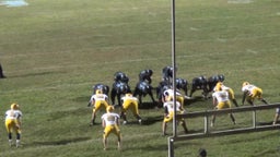Taylor football highlights vs. Trenton High School