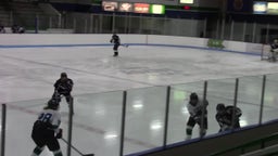 Sartell-St. Stephen girls ice hockey highlights vs. Bemidji High School