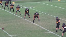 Cayuga football highlights Frankston High School