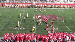 Mike Dowell's highlights Naperville Central