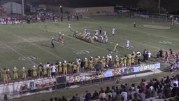 Dadeville football highlights Handley High School