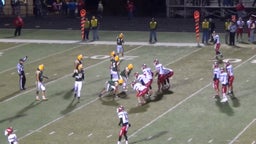 Logan Elm football highlights Hamilton Township High School
