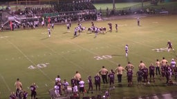 Riverdale football highlights vs. Palmetto Ridge High