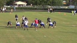 Justin Mascoll's highlights Stephenson High