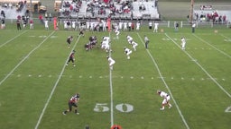 Linden football highlights vs. Flushing High School