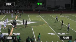 Gibbs football highlights Robinson High School
