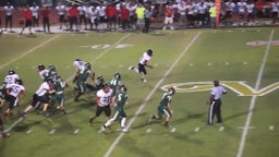Lorenzo Brown's highlights vs. The Villages