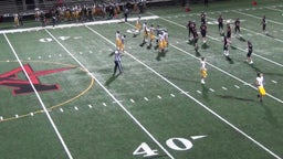 Sauk Rapids-Rice football highlights Monticello High School