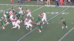 Zeeland West football highlights vs. Hamilton High School